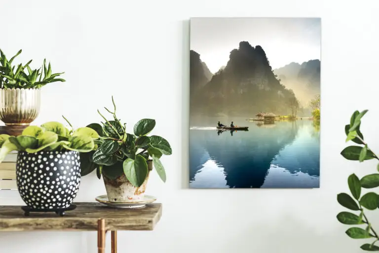 Impression sur panneau Dilite