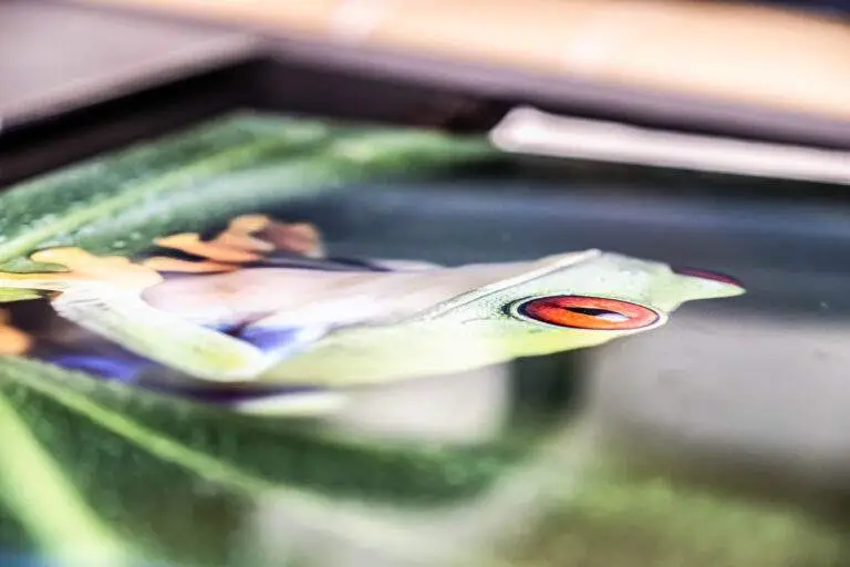 Crédences de cuisine personnalisées en Belgique impression de photos sur verre sur mesure