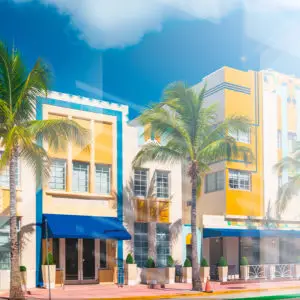 Impression sur Verre Palmiers Floride